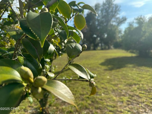 TBD E 4th Street, Panama City, FL 32401