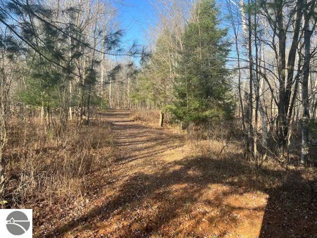 Image 10 of property listing at 188 W Procunier Road, Mikado, MI 48745