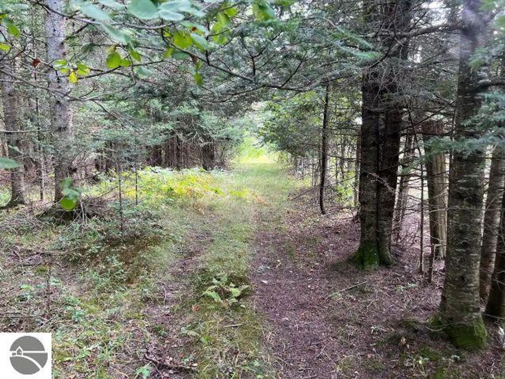 Image 11 of property listing at 188 W Procunier Road, Mikado, MI 48745