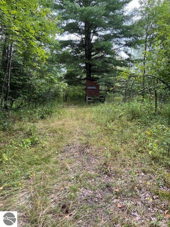 Image 14 of property listing at 188 W Procunier Road, Mikado, MI 48745