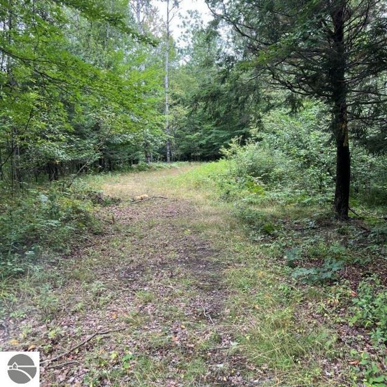 Image 19 of property listing at 188 W Procunier Road, Mikado, MI 48745