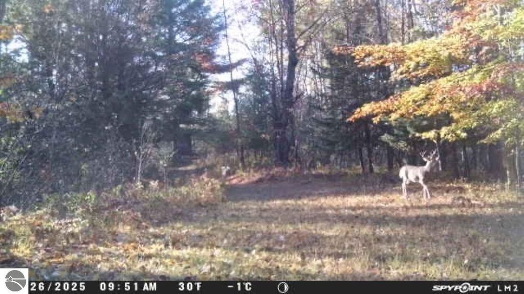 Image 3 of property listing at 188 W Procunier Road, Mikado, MI 48745