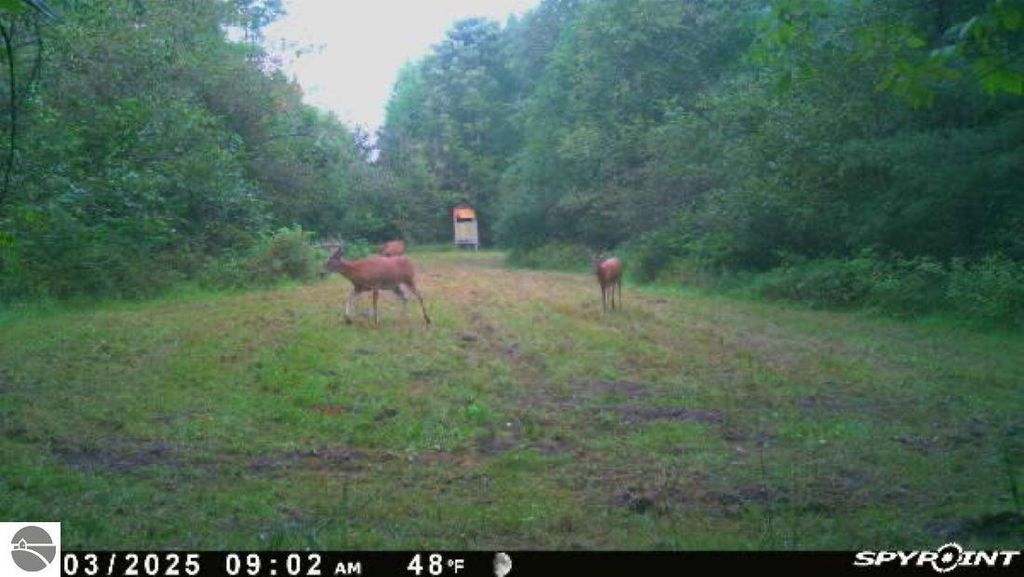 Image 4 of property listing at 188 W Procunier Road, Mikado, MI 48745