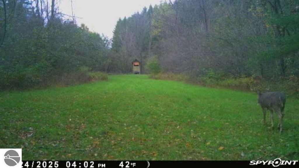 Image 5 of property listing at 188 W Procunier Road, Mikado, MI 48745