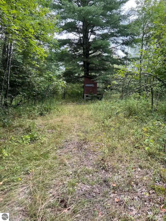 Image 6 of property listing at 188 W Procunier Road, Mikado, MI 48745