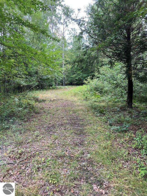 Image 8 of property listing at 188 W Procunier Road, Mikado, MI 48745