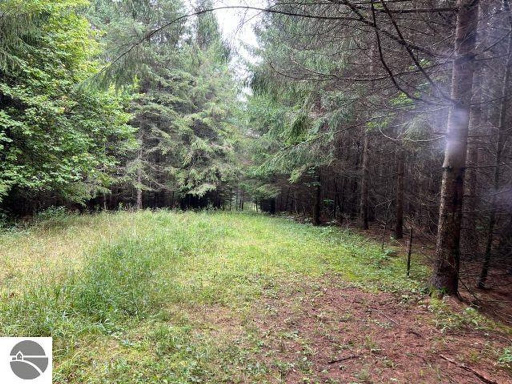 Image 9 of property listing at 188 W Procunier Road, Mikado, MI 48745