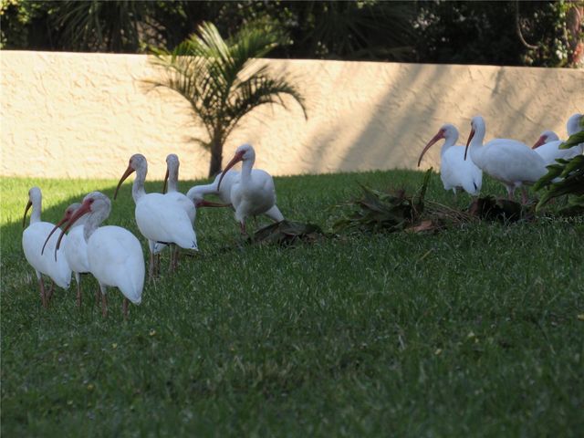 3001 58TH AVENUE S 1101, St Petersburg, FL 33712