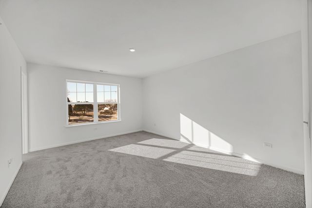 203 Settlers Place 203, West Dundee, IL 60118