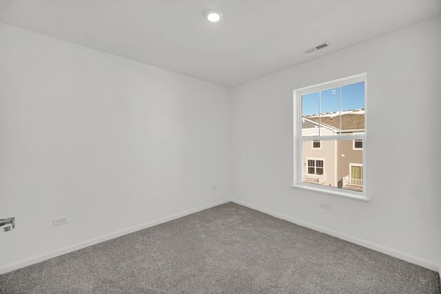 203 Settlers Place 203, West Dundee, IL 60118