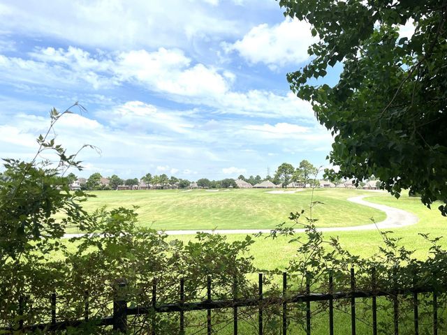 10103 Heron Meadows Drive, Houston, TX 77095