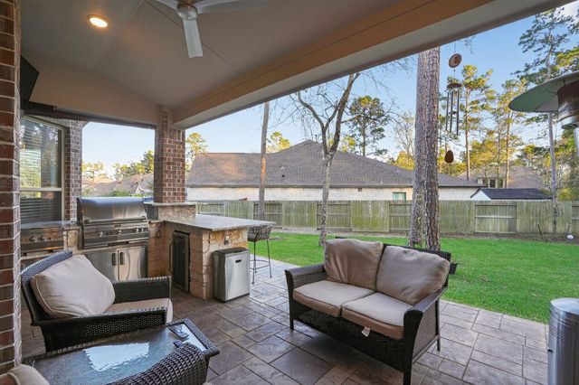 203 Terrain View Ct, Willis, TX 77318