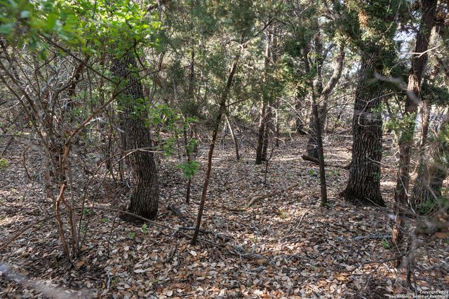 1058 INDIAN HOLW, Spring Branch, TX 78070