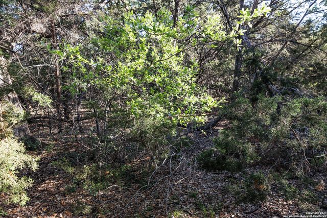 1058 INDIAN HOLW, Spring Branch, TX 78070