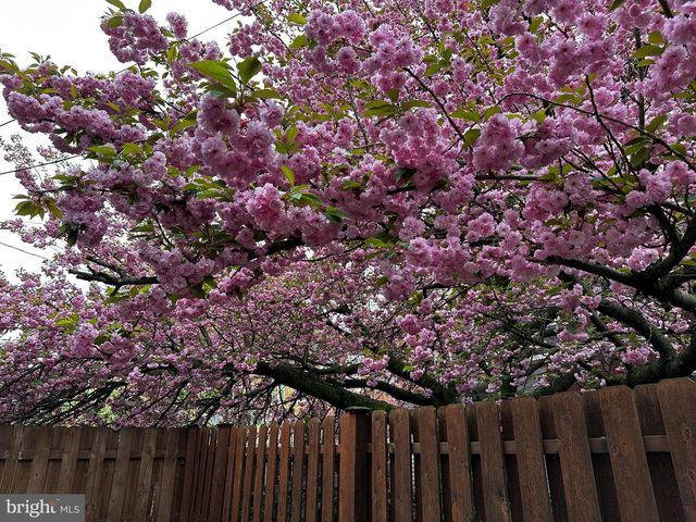 924 FRANKLIN ST, Wyomissing, PA 19610