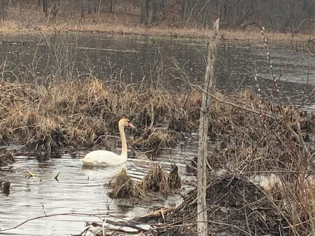 18610 M 86, Three Rivers, MI 49093