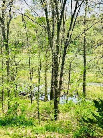 18610 M 86, Three Rivers, MI 49093