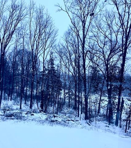 18610 M 86, Three Rivers, MI 49093