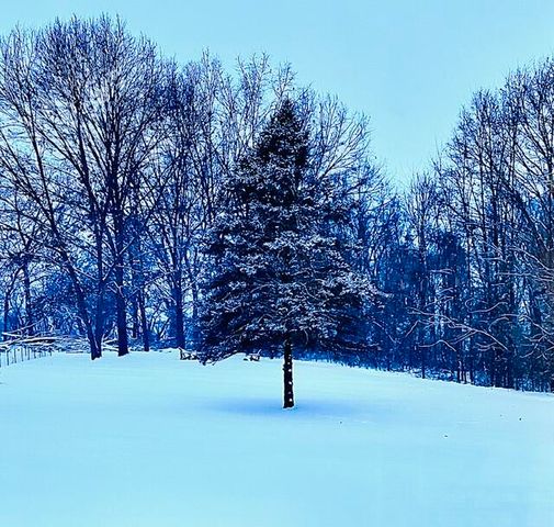 18610 M 86, Three Rivers, MI 49093