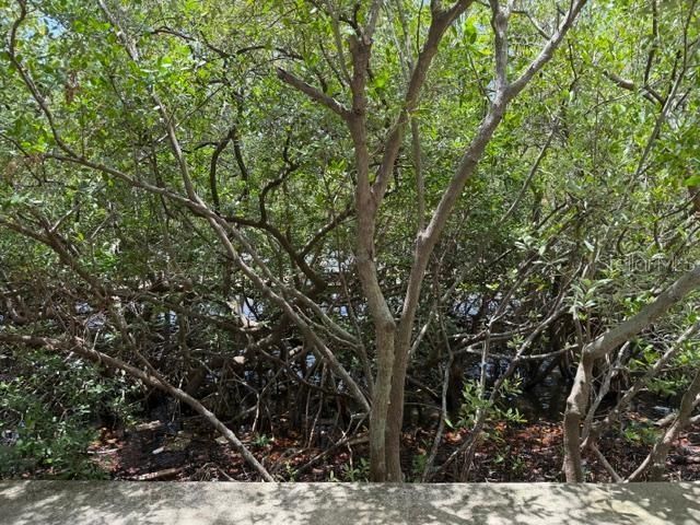 2733 VIA CIPRIANI 820B, Clearwater, FL 33764