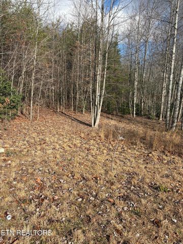 106 Swafford Rd, Spring City, TN 37381