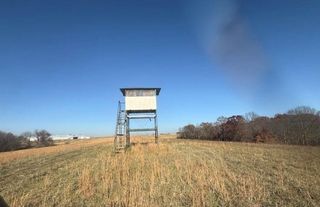 NE Mt. Olivet Road, Smithville, MO 64089