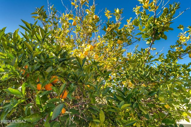 679 W Sunlight Lane, Tucson, AZ 85704