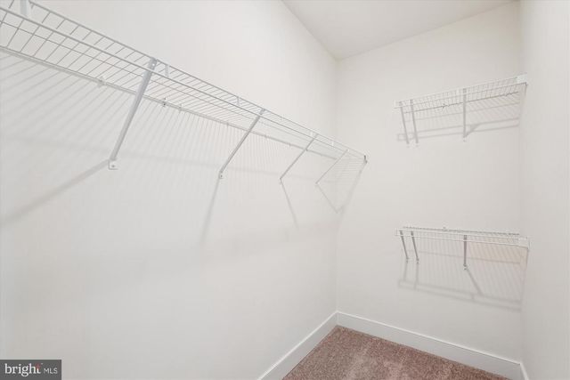 19820 LAVENDER DUST SQ, Ashburn, VA 20147