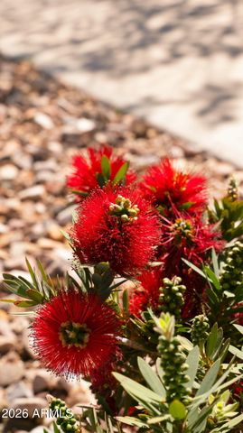 4159 E CYNTHIA Street, Gilbert, AZ 85295