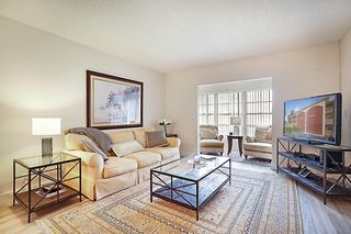 1951 NE 39th St 343, Lighthouse Point, FL 33064