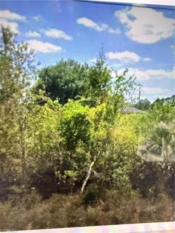 3009 54th ST W, LEHIGH ACRES, FL 33971 — exterior