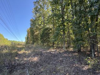 0 Hwy 100, Centerville, TN 37033