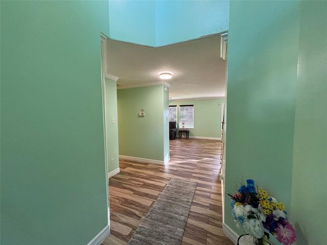 20907 New Leaf Court, Houston, TX 77073