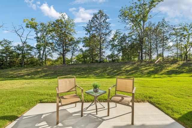 355 Carver Connection, Lebanon, TN 37087