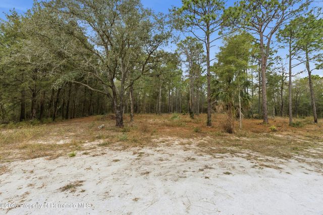 0 CORMORANT Road, Weeki Wachee, FL 34614