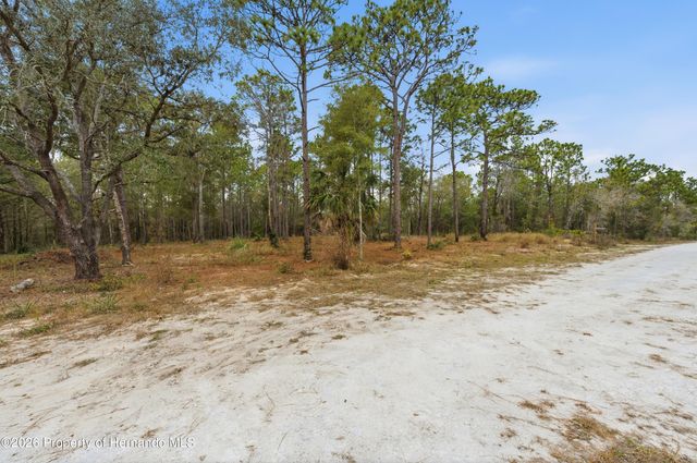 0 CORMORANT Road, Weeki Wachee, FL 34614