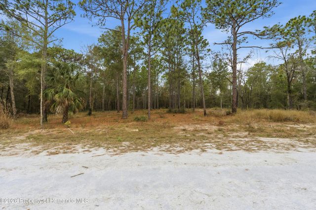 0 CORMORANT Road, Weeki Wachee, FL 34614
