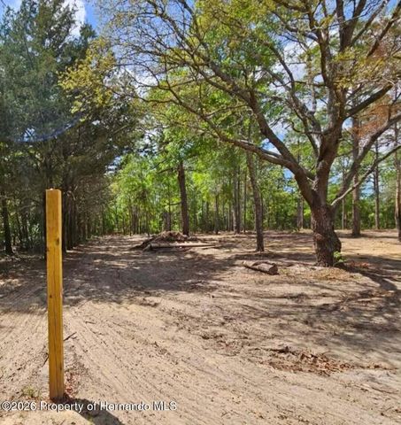 0 CORMORANT Road, Weeki Wachee, FL 34614