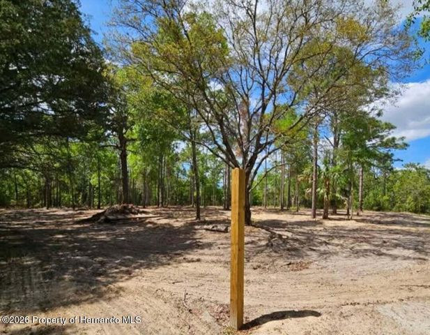 0 CORMORANT Road, Weeki Wachee, FL 34614