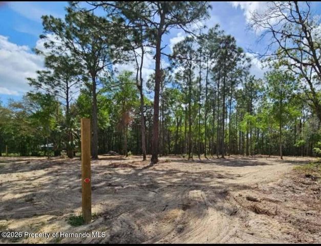 0 CORMORANT Road, Weeki Wachee, FL 34614