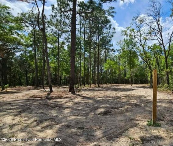 0 CORMORANT Road, Weeki Wachee, FL 34614