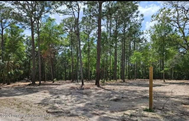 0 CORMORANT Road, Weeki Wachee, FL 34614