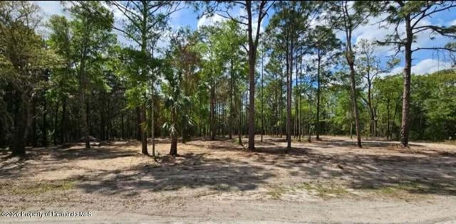0 CORMORANT Road, Weeki Wachee, FL 34614