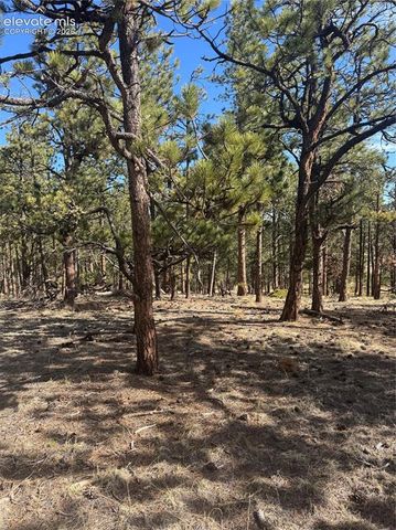 642 Matterhorn Drive, Florissant, CO 80816