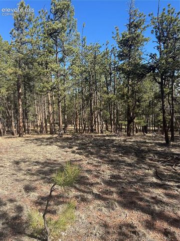 642 Matterhorn Drive, Florissant, CO 80816