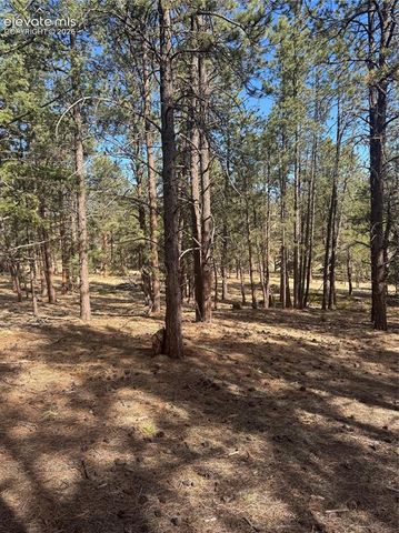 642 Matterhorn Drive, Florissant, CO 80816