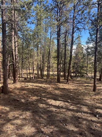 642 Matterhorn Drive, Florissant, CO 80816