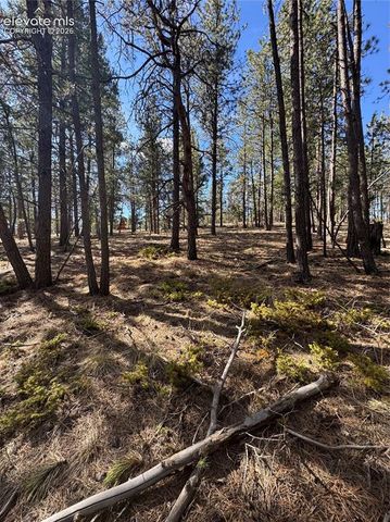 642 Matterhorn Drive, Florissant, CO 80816