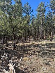 642 Matterhorn Drive, Florissant, CO 80816