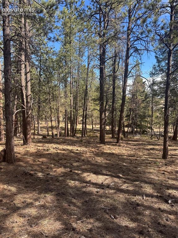 642 Matterhorn Drive, Florissant, CO 80816 — photo 5